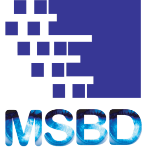 Favicon Micro Solutions Bangladesh